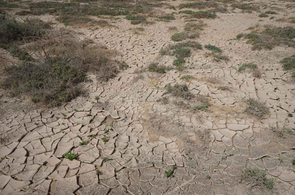 Ponle play a tu Derecho… Agua en manos privadas