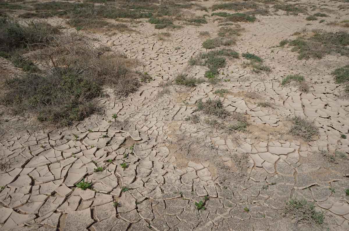 Ponle play a tu Derecho… Agua en manos privadas